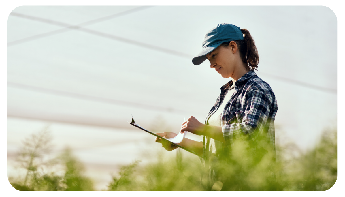 ELEMENTOS WEB MONTHEY-39