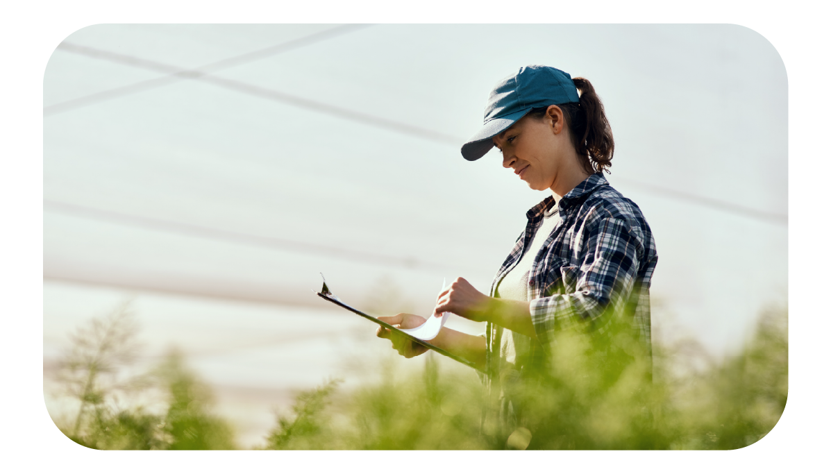 ELEMENTOS WEB MONTHEY-68