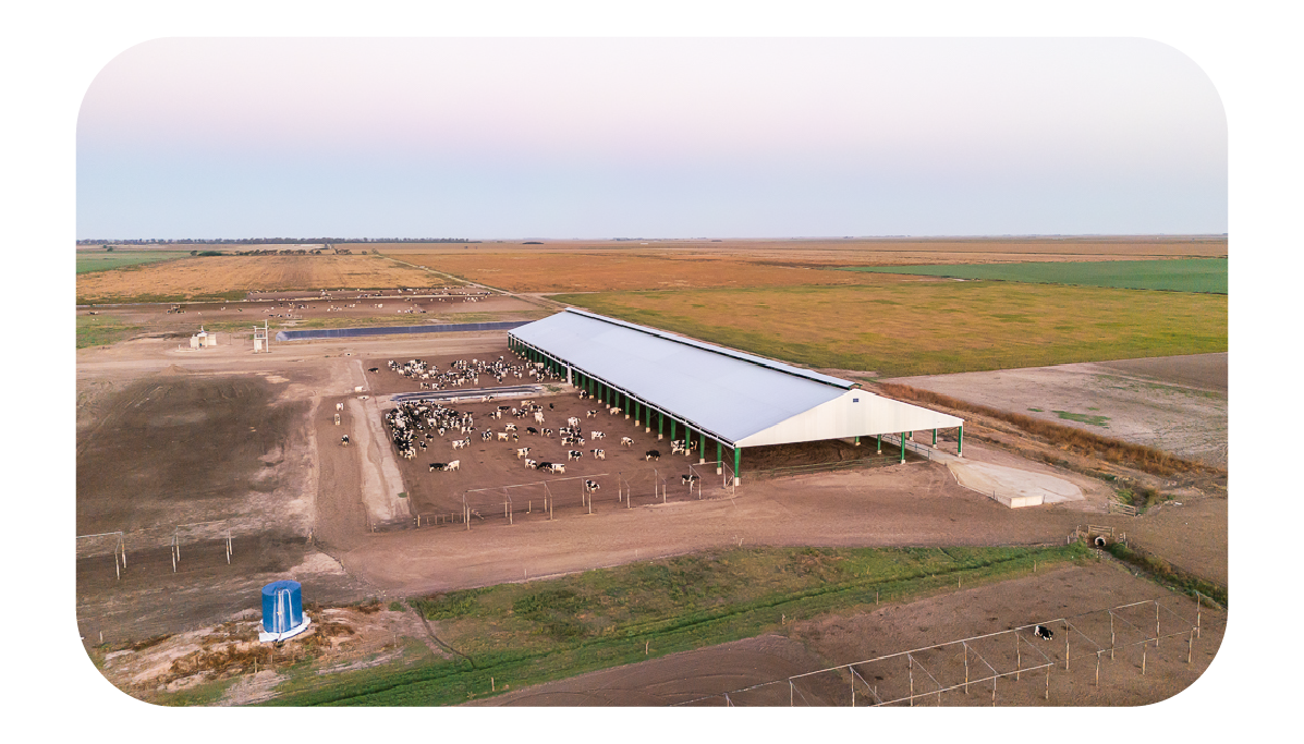 ELEMENTOS WEB MONTHEY-69