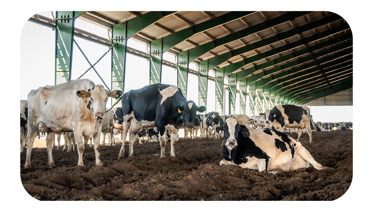 ELEMENTOS WEB MONTHEY-70 (1)