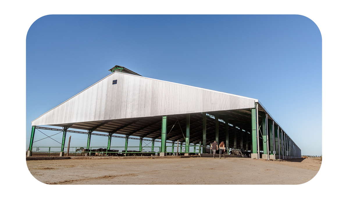 ELEMENTOS WEB MONTHEY-78