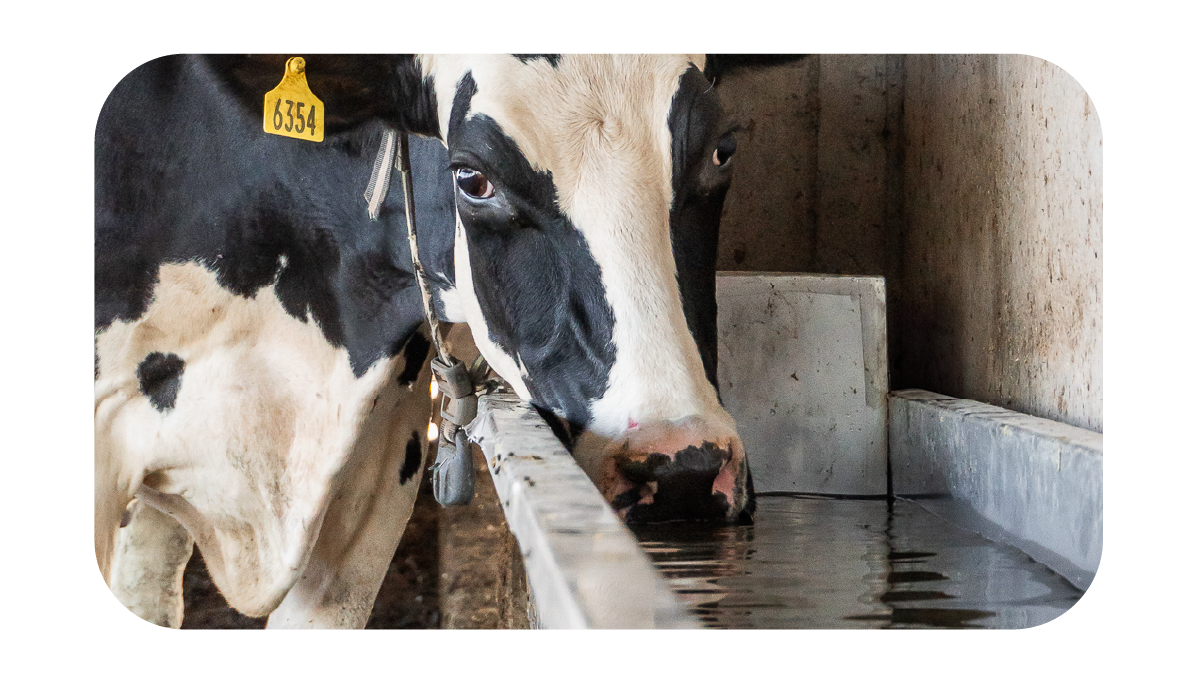 ELEMENTOS WEB MONTHEY-79