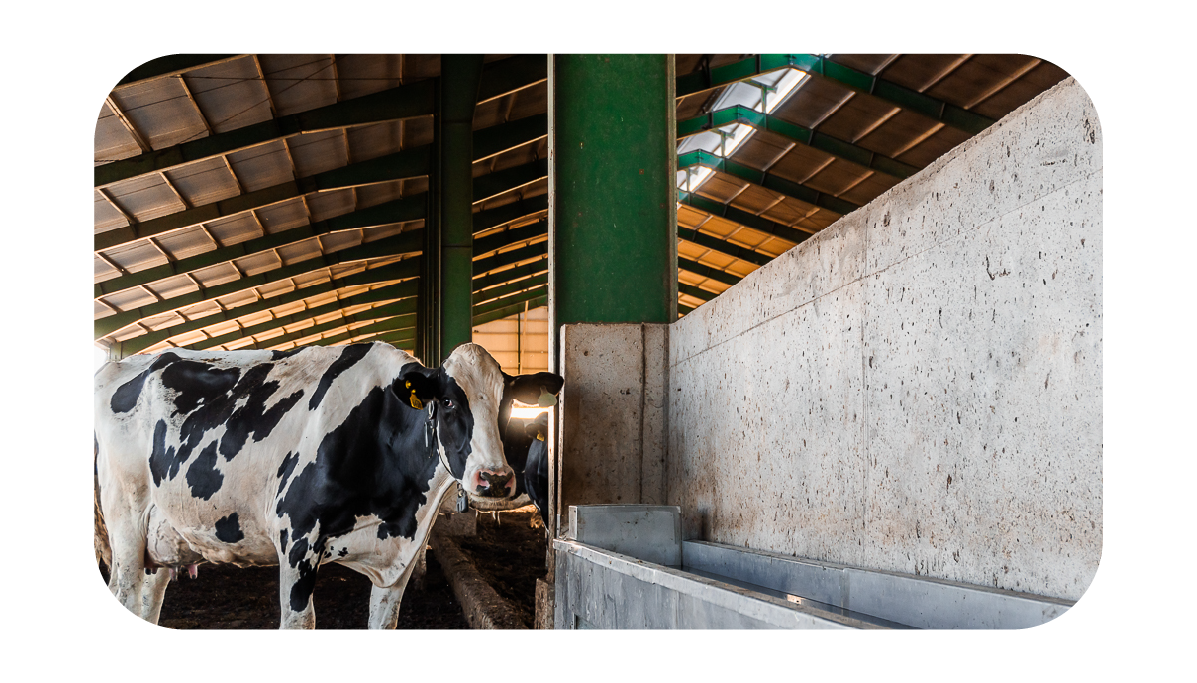 ELEMENTOS WEB MONTHEY-82